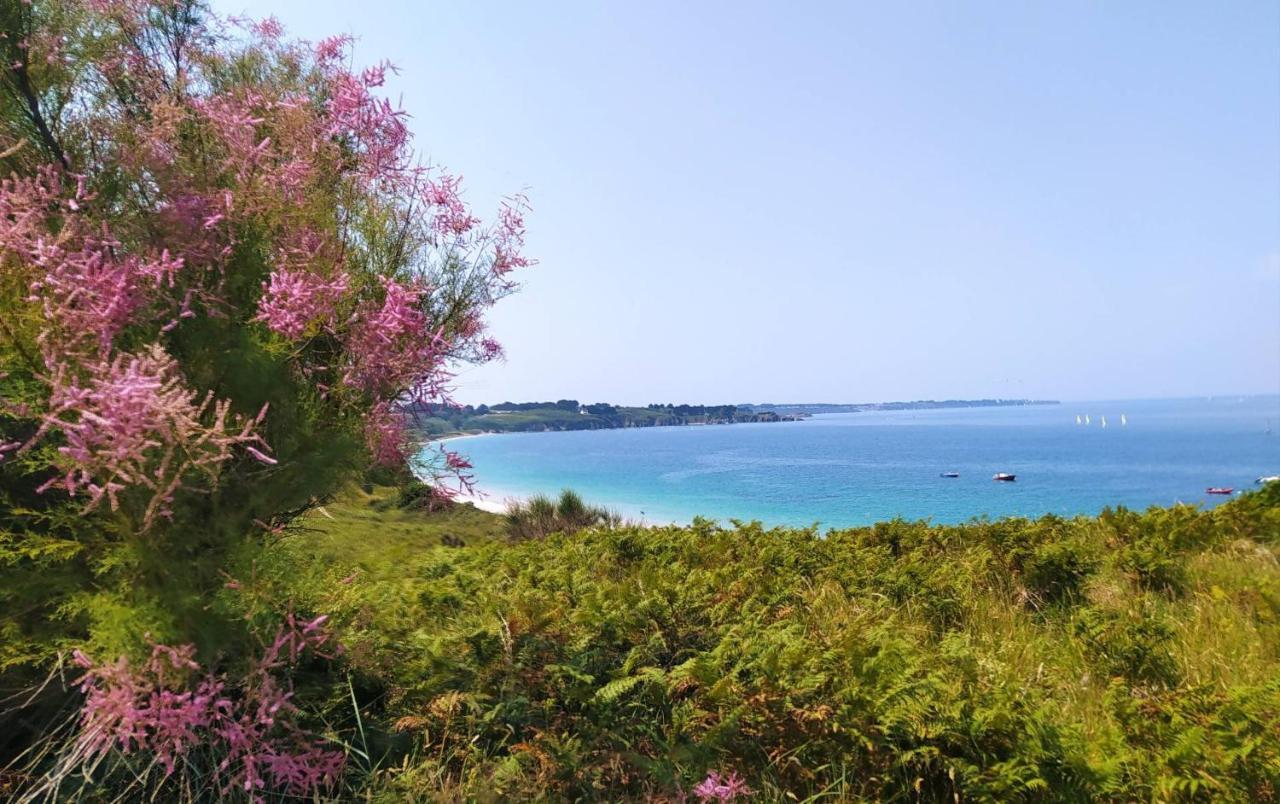 Locmaria Les Maisons De Kerdavid'Ile - Votre Residence De Vacances A Belle Ile En Mer מראה חיצוני תמונה